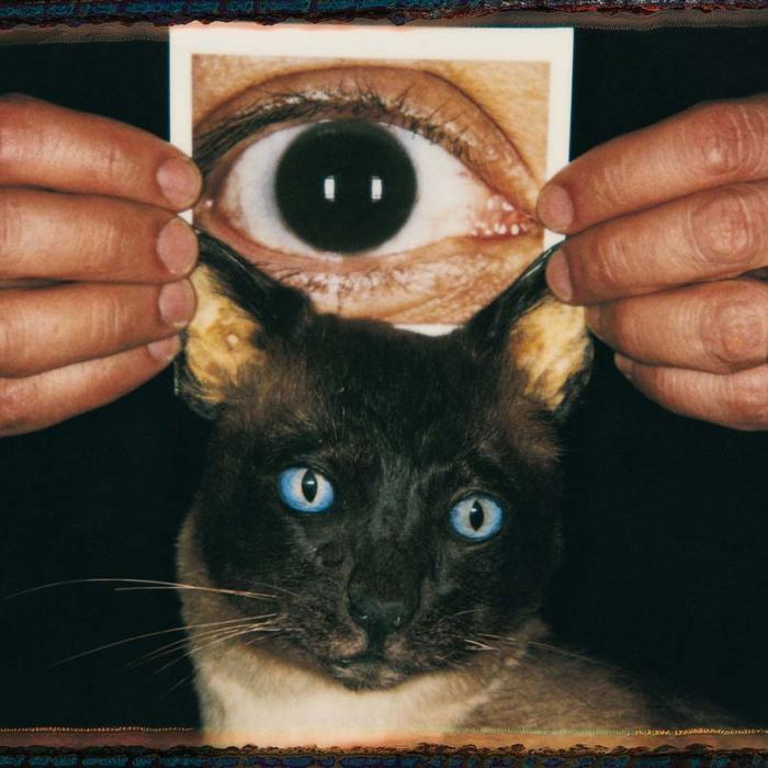 Andres Serrano